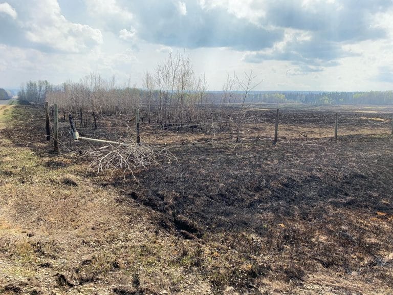 Inquiétudes dans les fermes de l’ouest canadien prises dans les feux