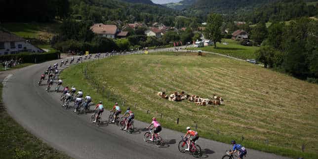 Tour de France 2023, en direct : suivez l’avant-dernière étape, entre Belfort et Le Markstein Fellering